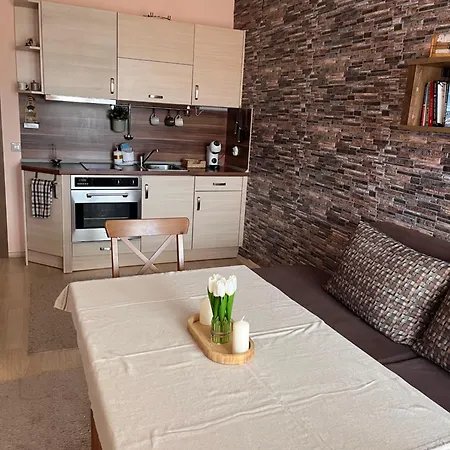 Mirabell - Mountain View & Fireplace Apartamento Bansko